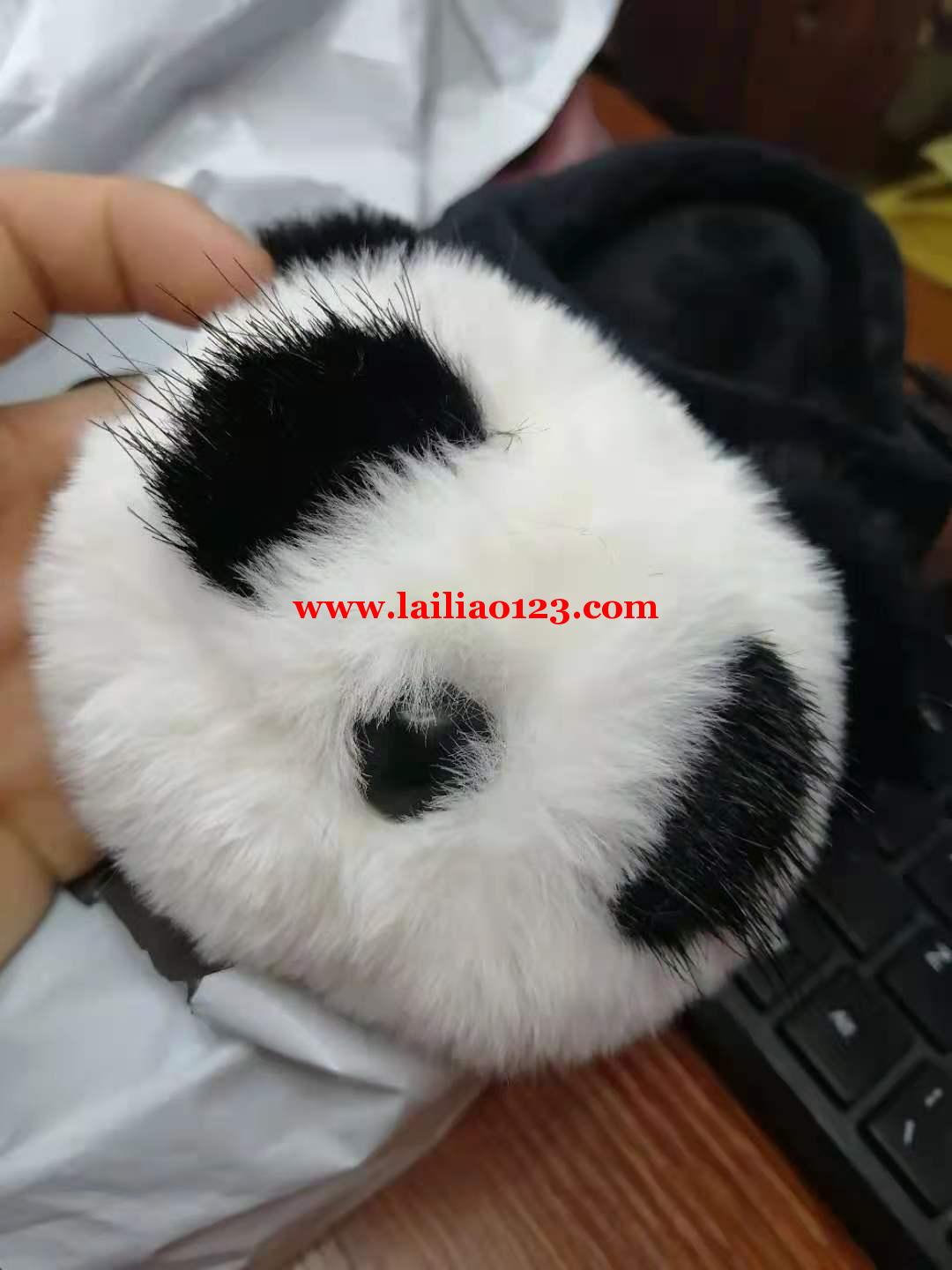 找玩具加工厂，毛绒布，熊猫头玩具缝纫外发