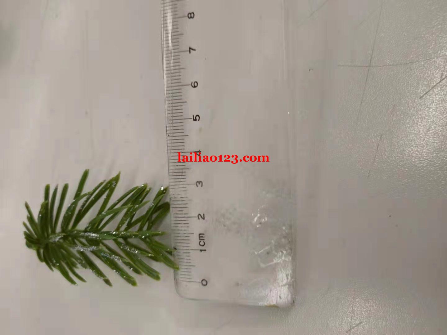如图，有做这类产品的吗？有单子，可以做的