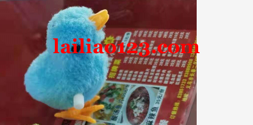 毛绒玩具小鸡订单，寻找厂家，如图，厂家请