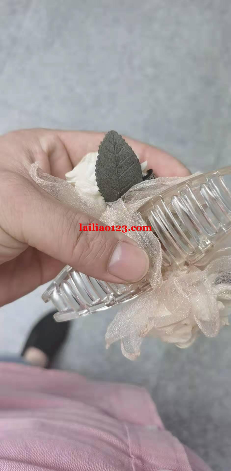 爪夹毛胚订单，如图，找这个胚，数量十万，