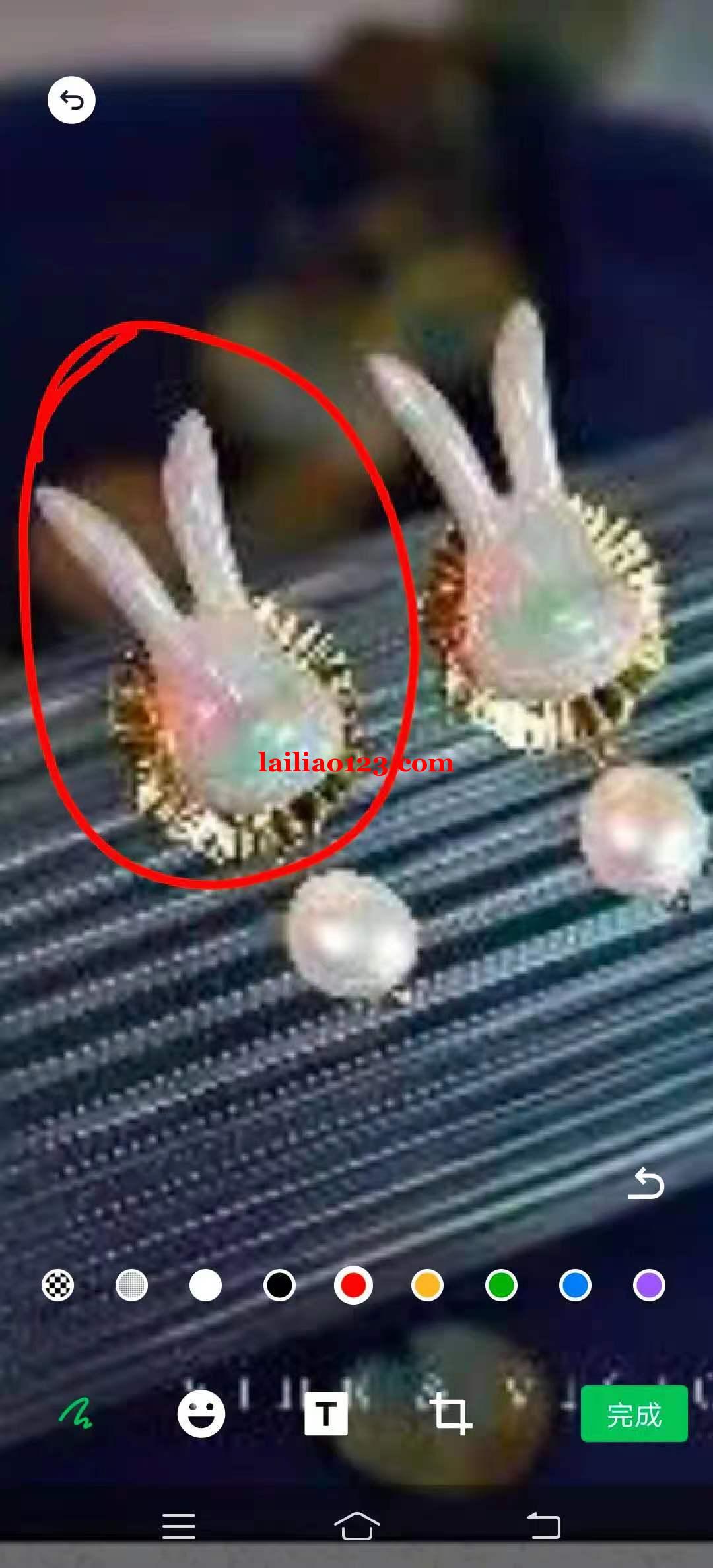 如图，谁家有这个兔子的联系