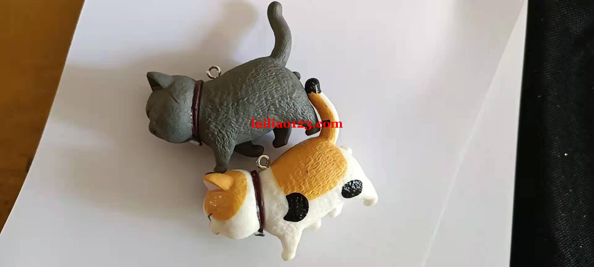图中这个猫谁有，有的电话联系