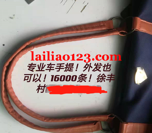寻找专业车手提，外发也可以，16000条