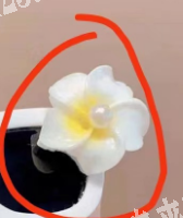 如图，寻找软陶花厂家，有的联系我