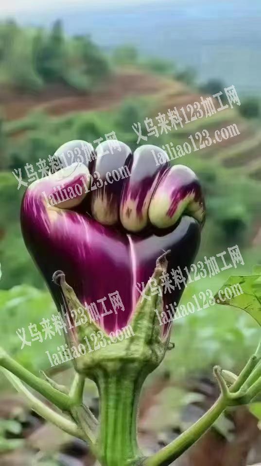 承接箱包加工，胶水胶水加工