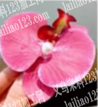 大量君子兰仿真花花头订单，如图，寻找专业