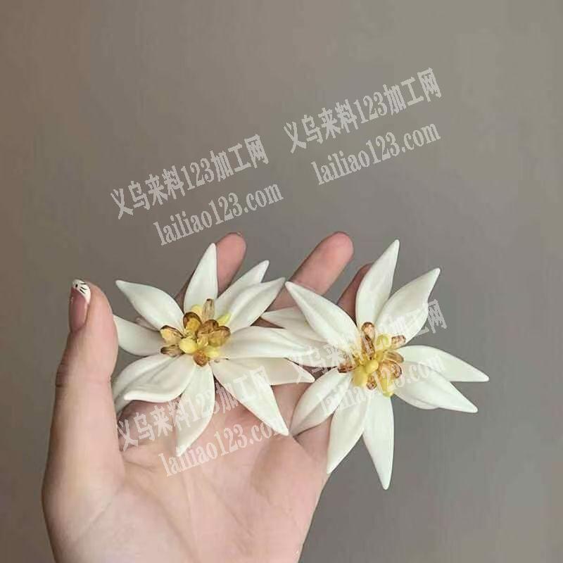树脂花瓣、耳环订单如图这样的手工成品订单