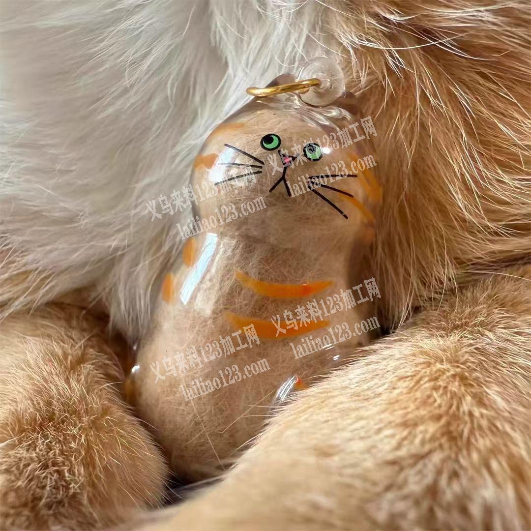 透明猫毛收纳盒订单，如图，吹塑的猫盒，寻