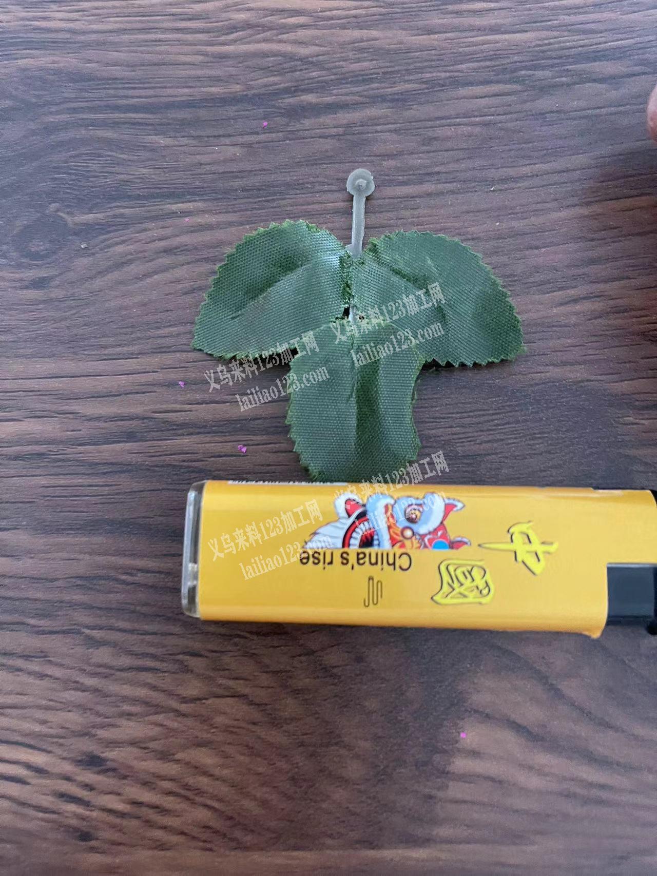 有没有谁家有这种树叶的