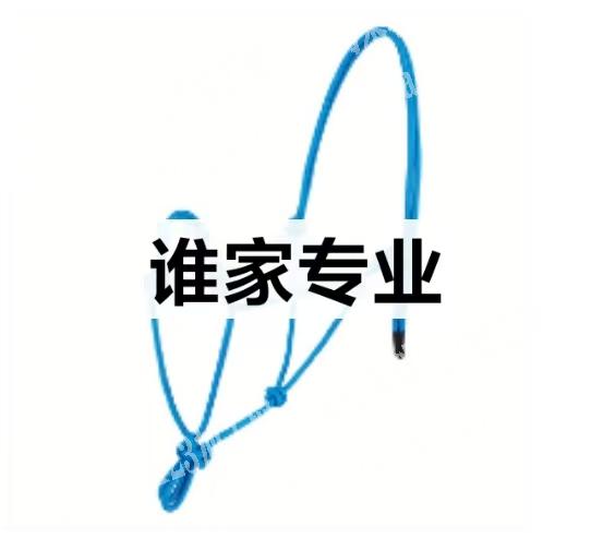 马笼头 编织打结的订单，