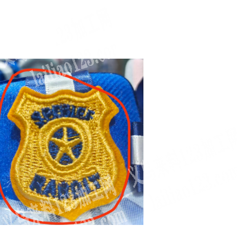 刺绣标订单，如图，寻找厂家，请联系详谈，