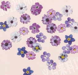 找可以做这些穿戴甲配件支持订做的工厂联系