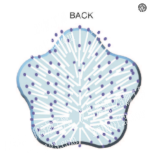 搪瓷配饰和迷你气垫发梳订单，如图，寻找厂