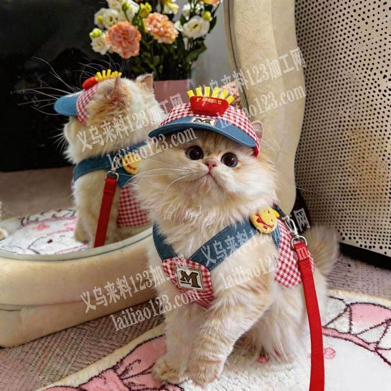 这个宠物猫的帽子订单，寻找专业做这种帽子