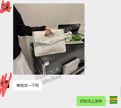 《发外地做》如图女士收纳包订单，寻找专业
